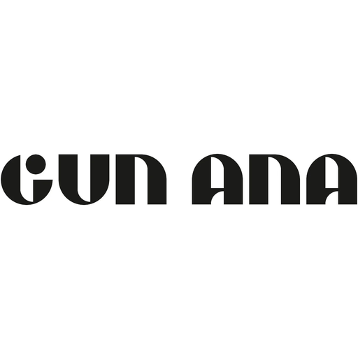 Gun Ana