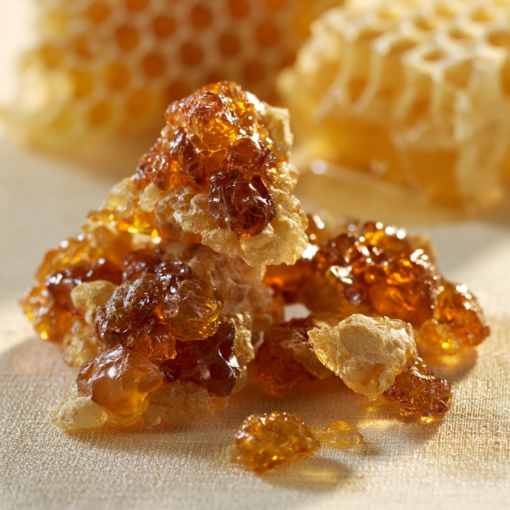 Propolis