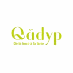 Qadyp-logo