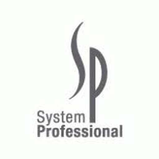 System Professional