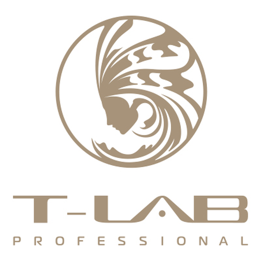 T-LAB Professional
