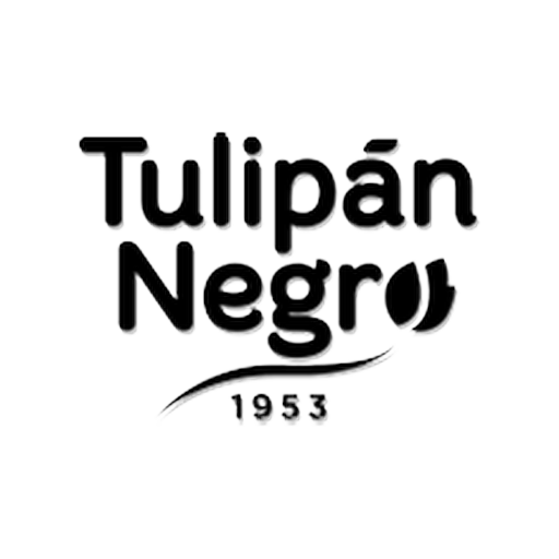 Tulipán Negro