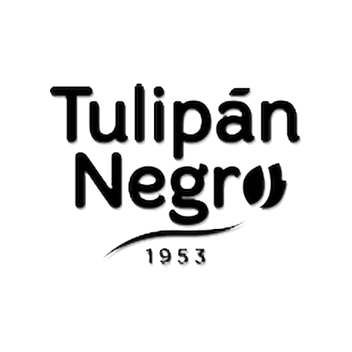 Tulipan Negro